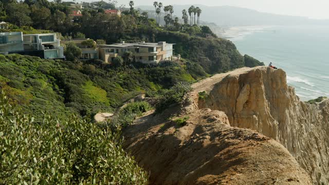 Elevated view of the cliffs, the pier and palm trees at Black’s Beach, with people walking.