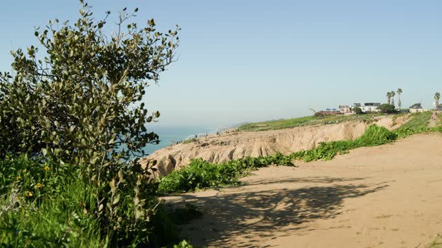 Elevated view of the cliffs, palm trees and the ocean at Black’s Beach, with people walking.