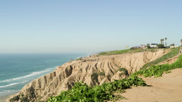 Elevated view of the cliffs, palm trees and the ocean at Black’s Beach, with people walking.
