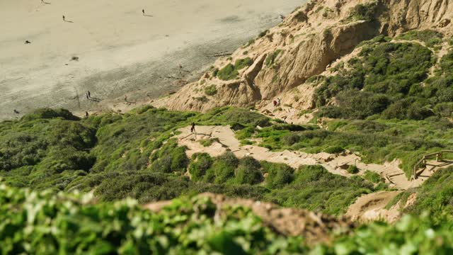 Elevated view of the cliffs, the beach and open country at Black’s Beach, with people walking.