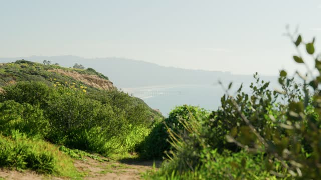 Elevated view of the cliffs, the pier and the ocean at Black’s Beach.