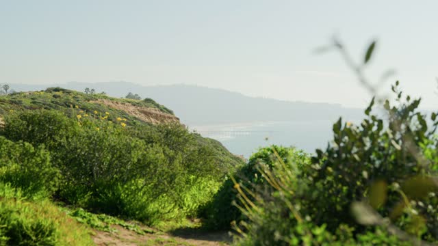 Elevated view of the cliffs, the ocean and the beach at Black’s Beach.