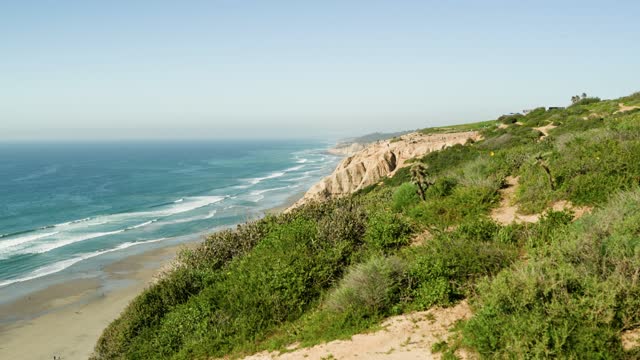 Elevated view of the cliffs, the ocean and the beach at Black’s Beach.