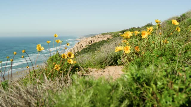 Elevated view of the cliffs, the ocean and the beach at Black’s Beach.