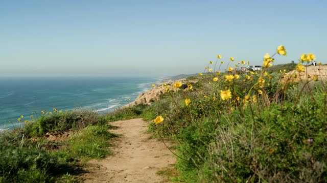 Elevated view of the cliffs, the ocean and the beach at Black’s Beach, with people walking.