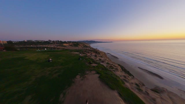 Low aerial view of the cliffs, palm trees and the ocean at Black’s Beach, with people walking.