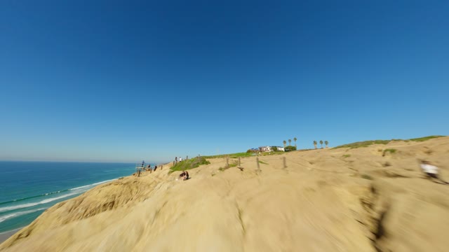 Low aerial view of the cliffs, palm trees and the ocean at Black’s Beach, with people walking.