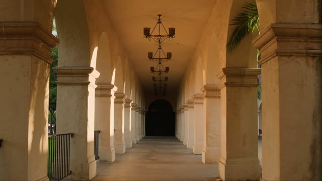 A park, palm trees and the buildings in Balboa Park.