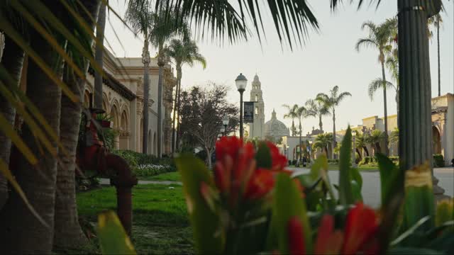 A park, palm trees and the buildings in Balboa Park, with people walking.