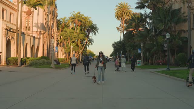 A park, wildlife and palm trees in Balboa Park, with people walking.