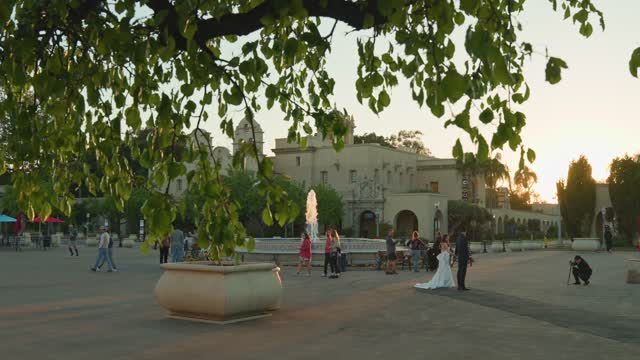 A park, palm trees and the buildings in Balboa Park, with a crowd gathered.