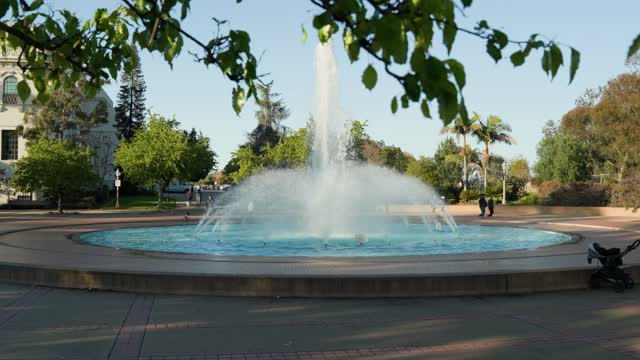 A park, palm trees and open country in Balboa Park, with people walking.
