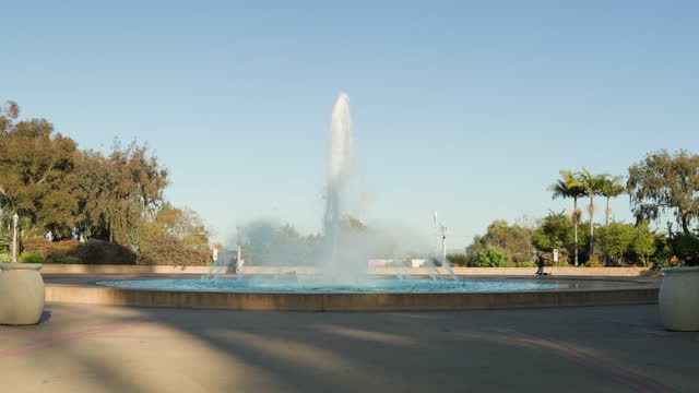A park, palm trees and open country in Balboa Park.