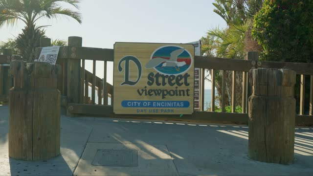 The beach, palm trees and open country in Encinitas.