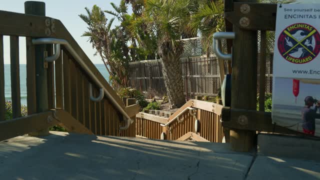 Elevated view of the beach, palm trees and the ocean in Encinitas.