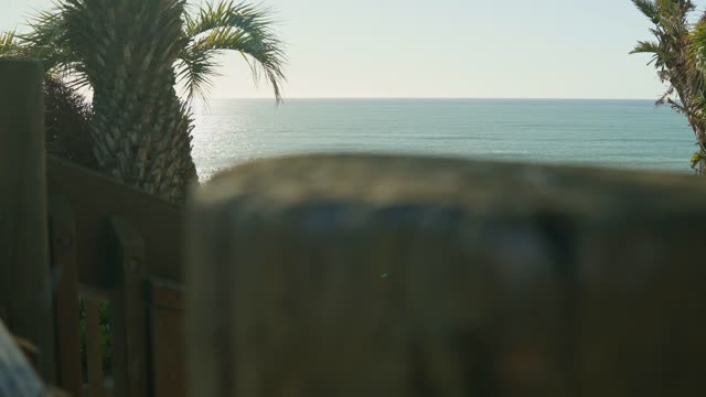 Elevated view of the cliffs, palm trees and the ocean in Encinitas.