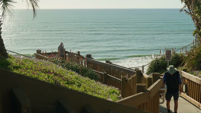 Elevated view of the beach, the surf and palm trees in Encinitas, with people walking.