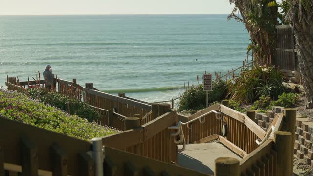 Elevated view of the beach, the surf and palm trees in Encinitas, with people walking.