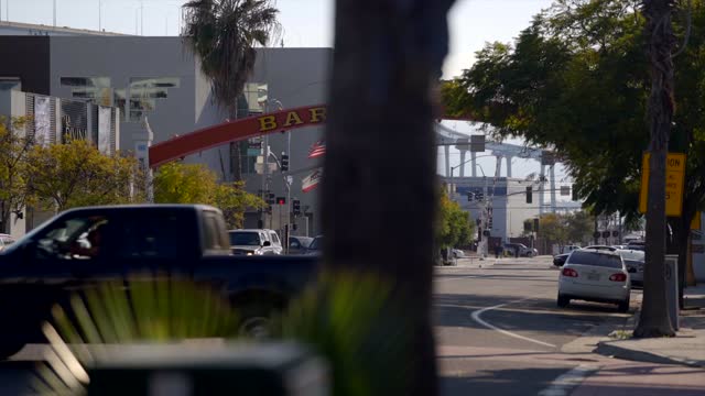The downtown streets, palm trees and the buildings in Barrio Logan.