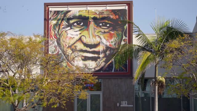 The downtown streets, palm trees and the buildings in Barrio Logan.