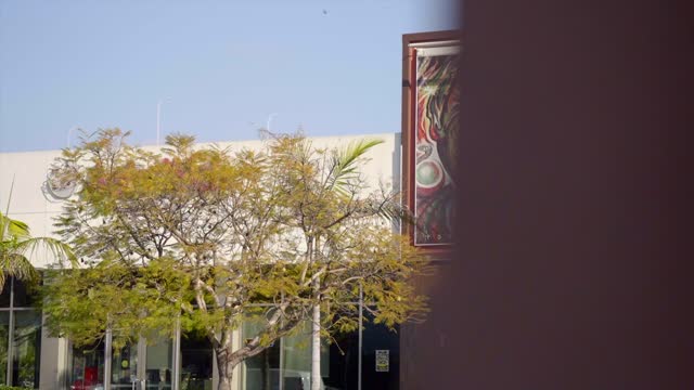 The downtown streets, palm trees and the buildings in Barrio Logan.