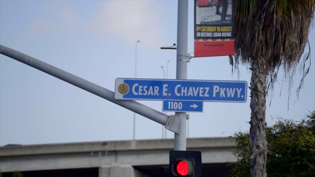 The downtown streets, the bridge and palm trees in Barrio Logan.