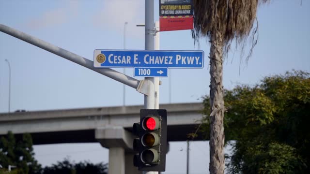 The downtown streets, the bridge and palm trees in Barrio Logan.