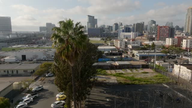 Low aerial view of the downtown streets, the skyline and palm trees in Barrio Logan.