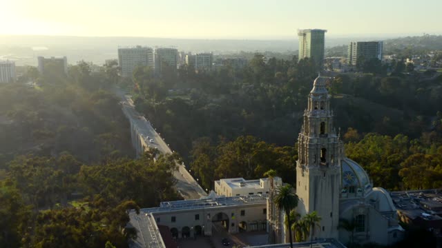 Aerial view of a park, the skyline and palm trees in Balboa Park.