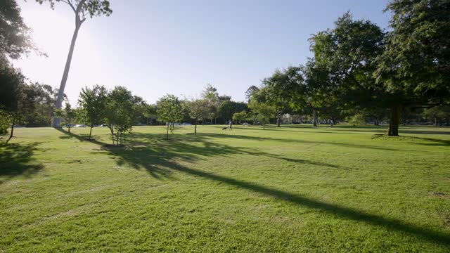 A park, palm trees and open country in Balboa Park, with people walking.