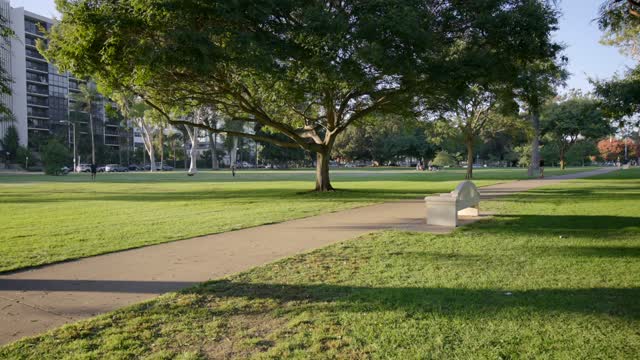 A park, palm trees and homes in Balboa Park, with people walking.