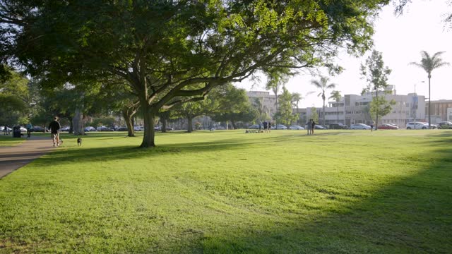 A park, wildlife and palm trees in Balboa Park, with people walking.