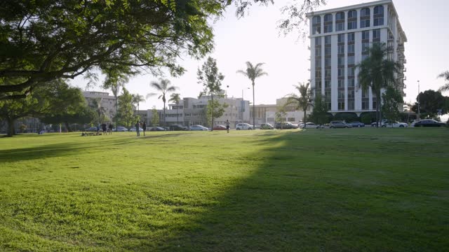A park, palm trees and the buildings in Balboa Park, with people walking.