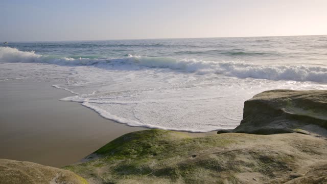 Windansea Beach in La Jolla San Diego | Video