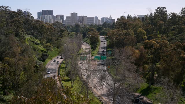Elevated view of a park, the skyline and the buildings in Balboa Park.