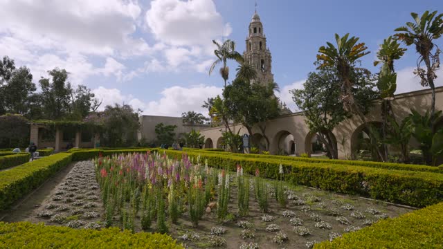 A park, palm trees and the buildings in Balboa Park, with people walking.
