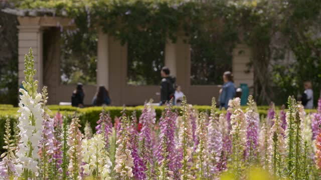 A park, the buildings and open country in Balboa Park, with people walking.