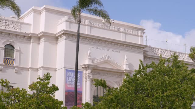 A park, palm trees and the buildings in Balboa Park.