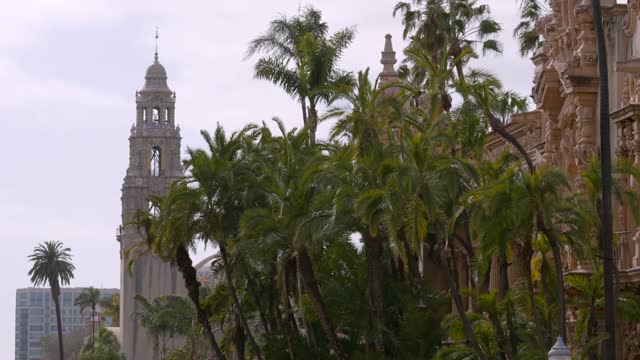 A park, palm trees and the buildings in Balboa Park.