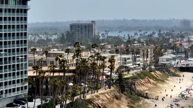 Low aerial view of the beach, palm trees and the ocean in Pacific Beach, with people walking.