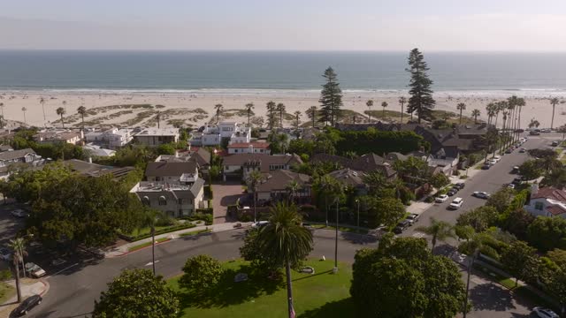 Aerial view of a residential street, palm trees and the ocean at Coronado Beach.