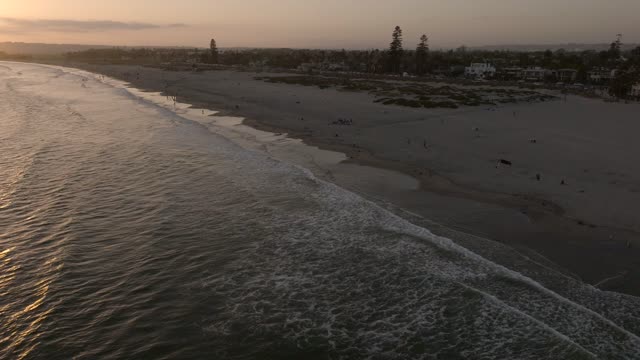 Aerial view of the beach, the surf and palm trees at Coronado Beach, with people walking.