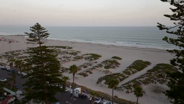 Elevated view of the beach, the surf and palm trees at Coronado Beach, with people walking.