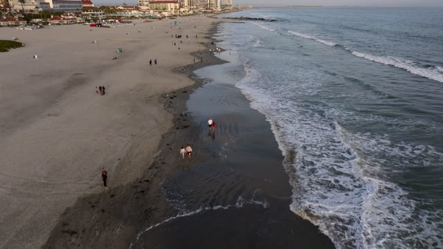 Low aerial view of the beach, the surf and the ocean at Coronado Beach, with people walking.
