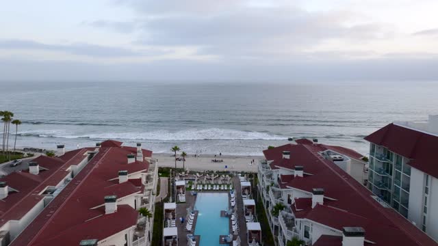 Low aerial view of the beach, the surf and palm trees at Coronado Beach.