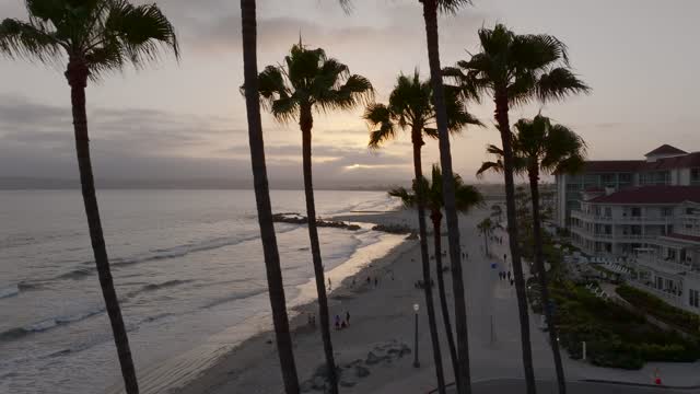 Low aerial view of the beach, the surf and palm trees at Coronado Beach, with people walking.