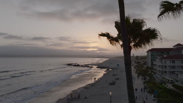 Low aerial view of the beach, the surf and palm trees at Coronado Beach, with people walking.