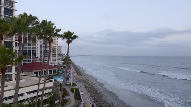 Low aerial view of the beach, the surf and palm trees at Coronado Beach, with people walking.