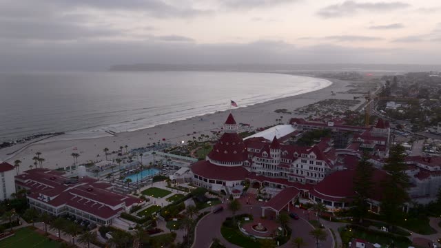 Aerial view of the beach, palm trees and the ocean at Coronado Beach.