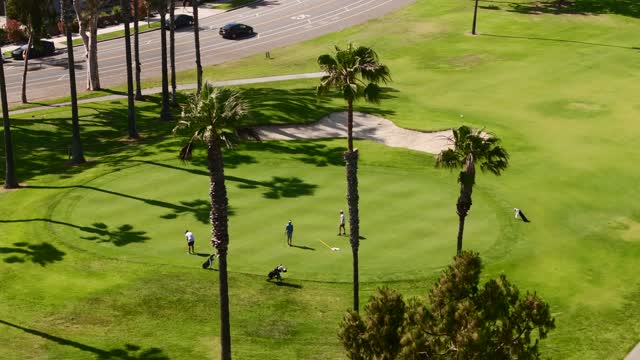 Low aerial view of a park, palm trees and traffic at Glorietta Bay, with people walking.